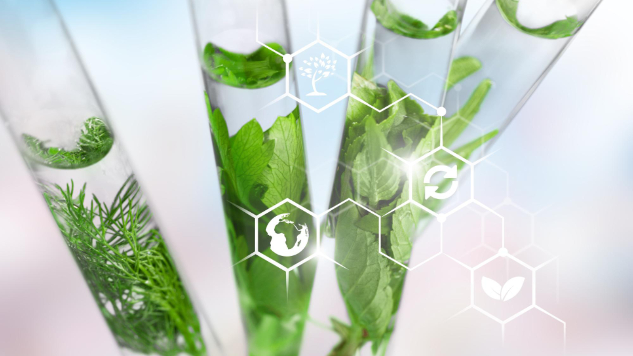 Biostatystyka pomaga analizować dane medyczne, oceniać skuteczność terapii i podejmować decyzje oparte na rzetelnych wynikach badań.